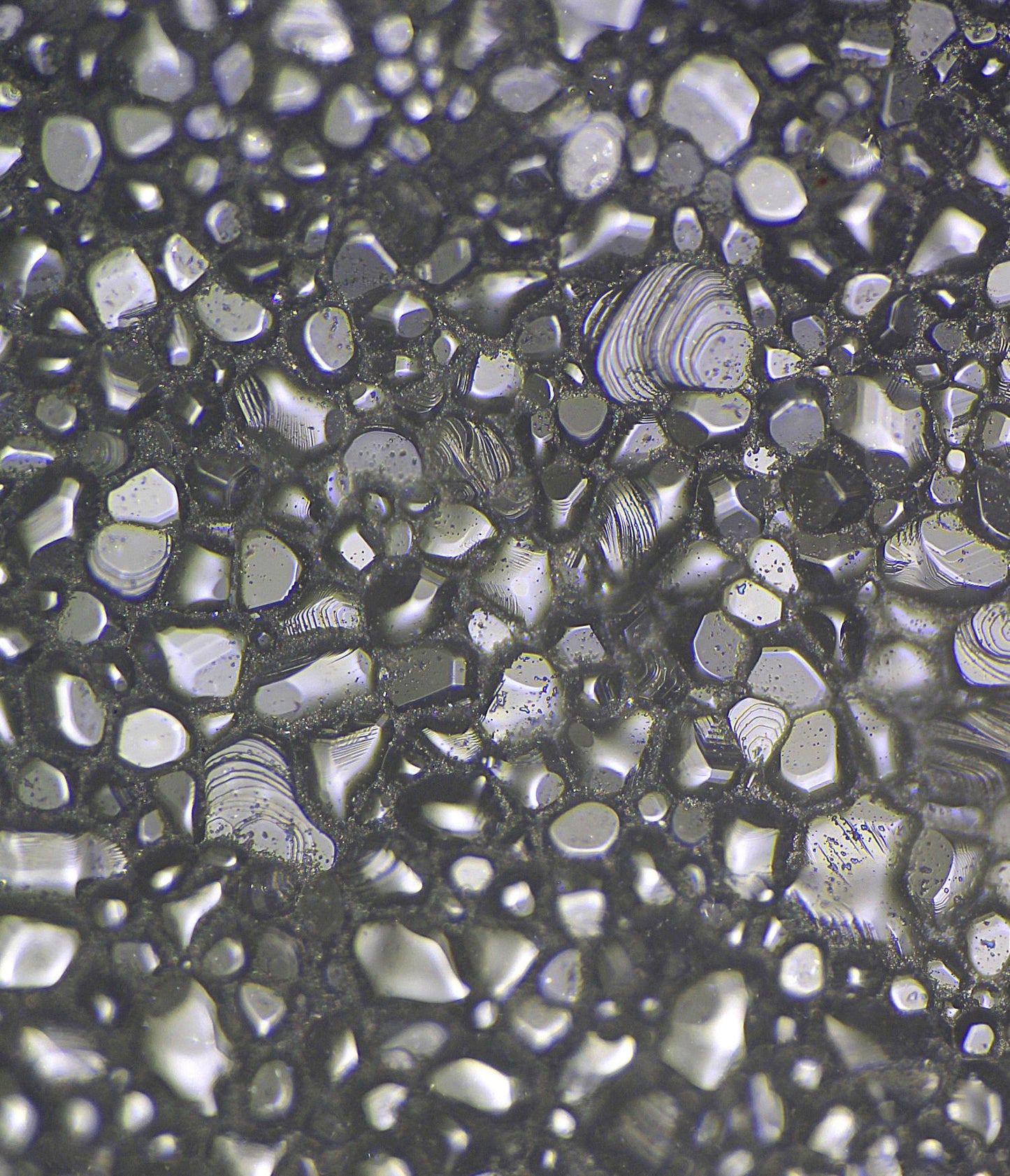 Sparkly Lab Sapphire Ceramic Pucks