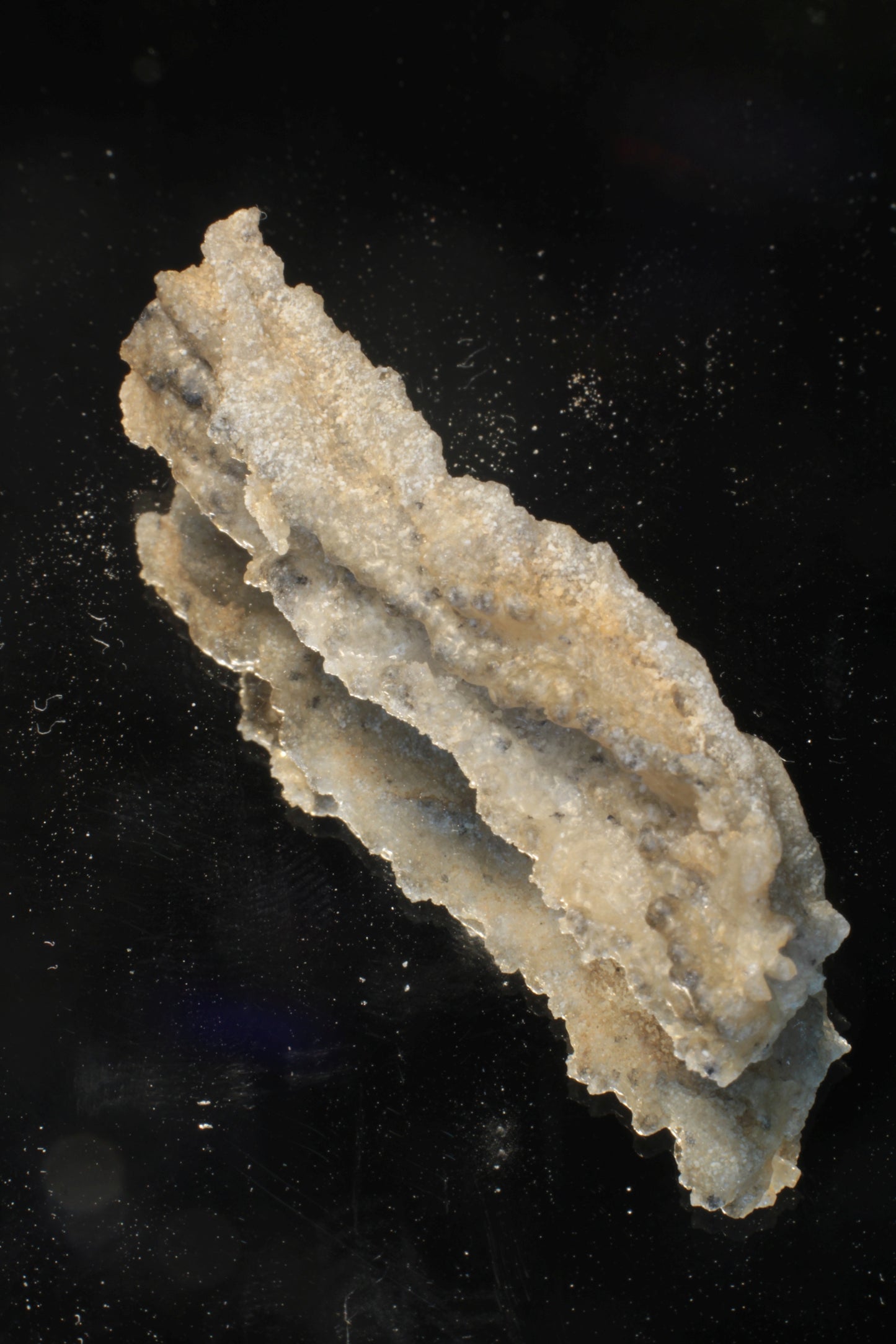 Fulgurite Specimens, Fossil Lightning Glass