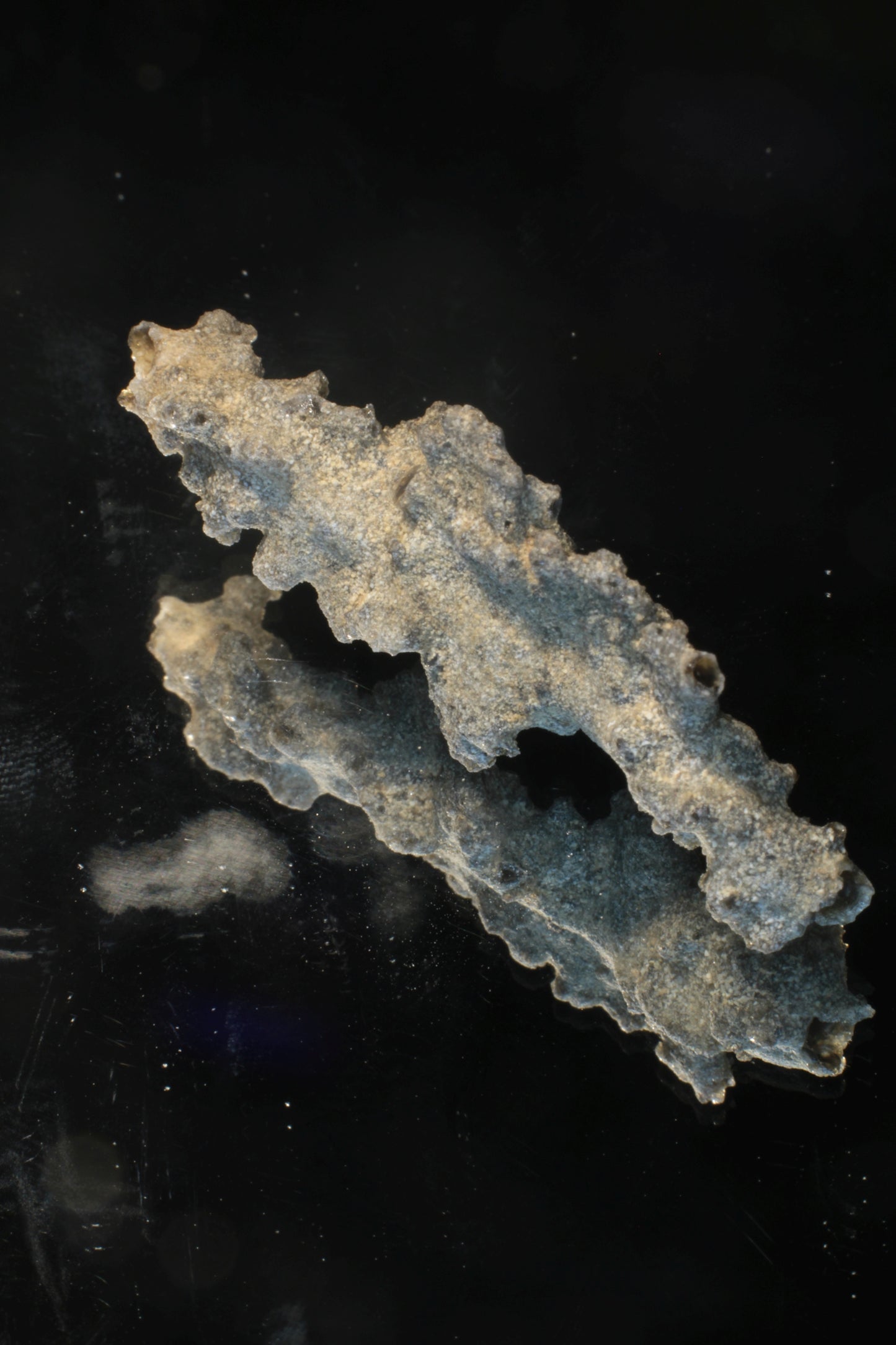 Fulgurite Specimens, Fossil Lightning Glass