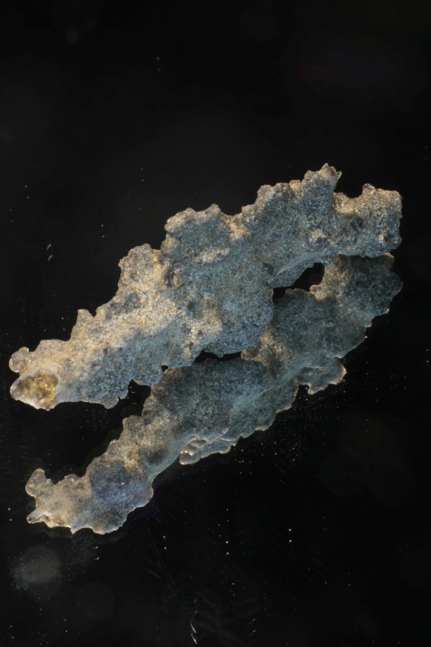 Fulgurite Specimens, Fossil Lightning Glass