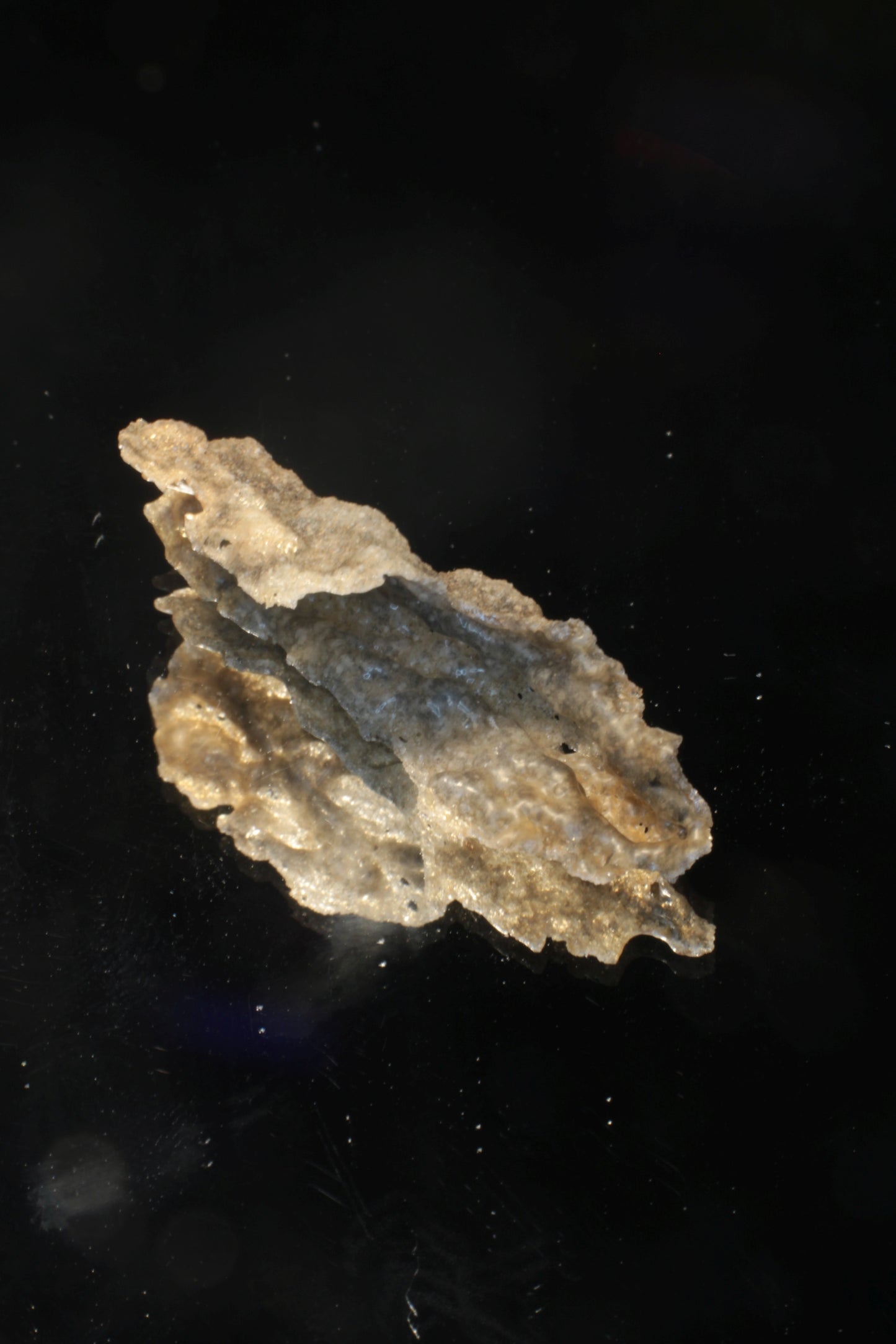 Fulgurite Specimens, Fossil Lightning Glass