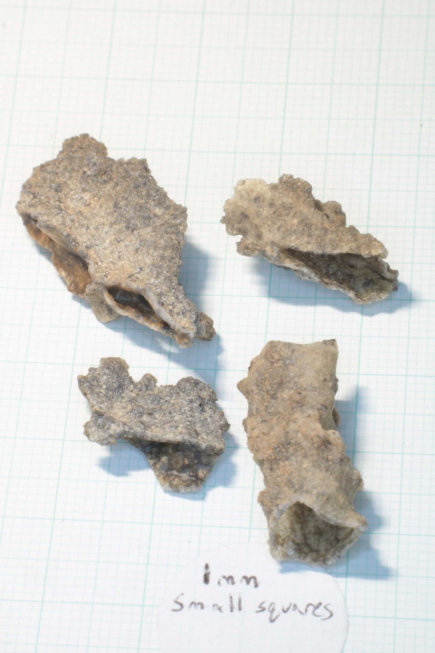 Fulgurite Specimens, Fossil Lightning Glass