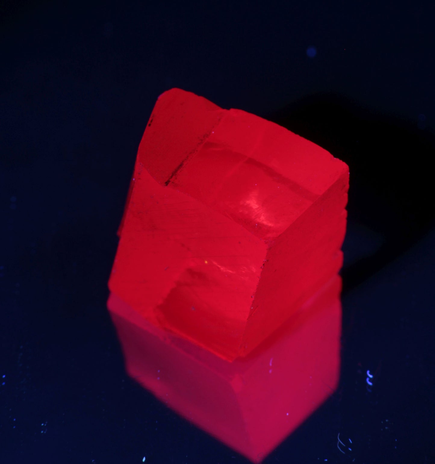 Rough Christmas Garnet ONLY under UV light