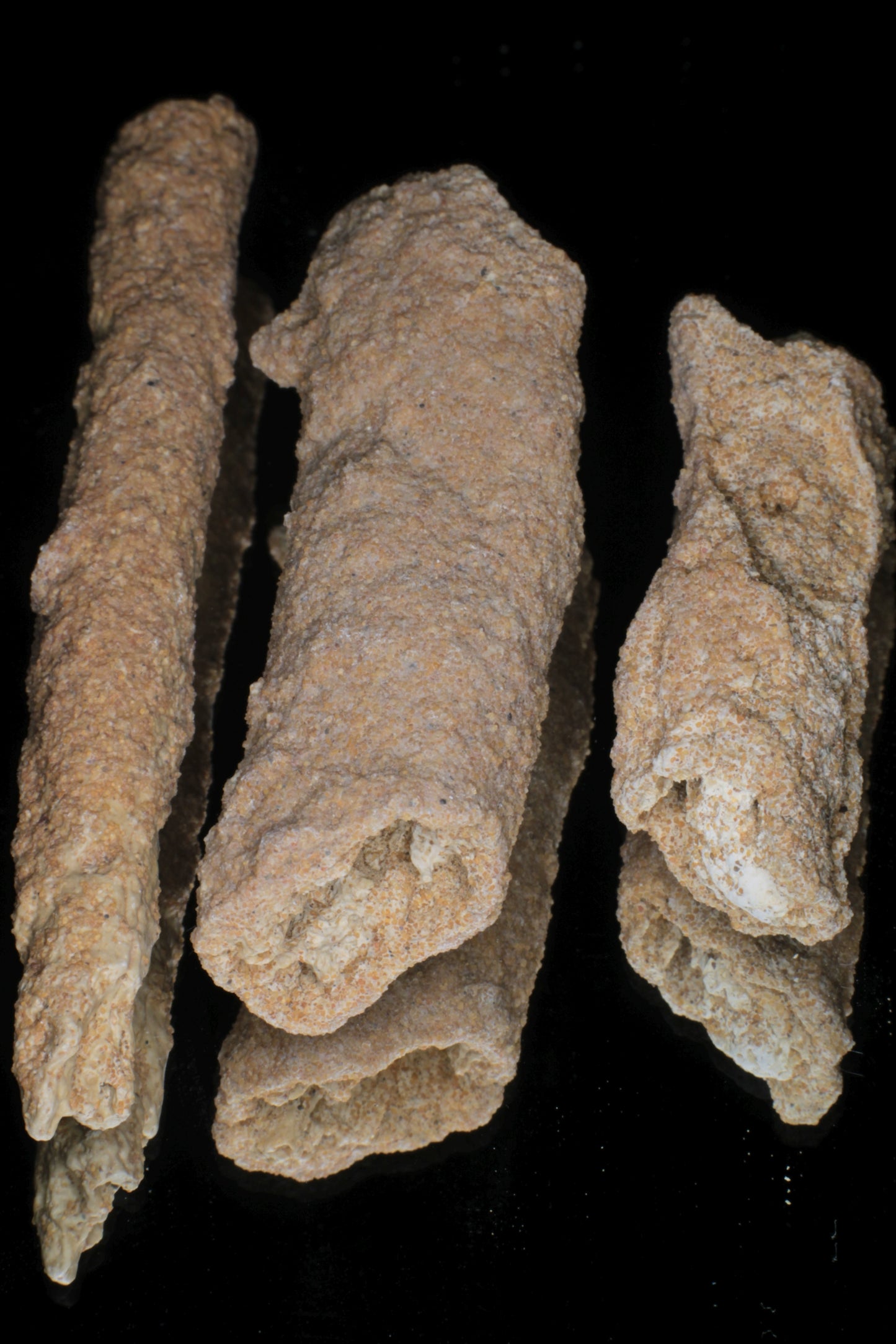 Fulgurite Specimens, Fossil Lightning Glass