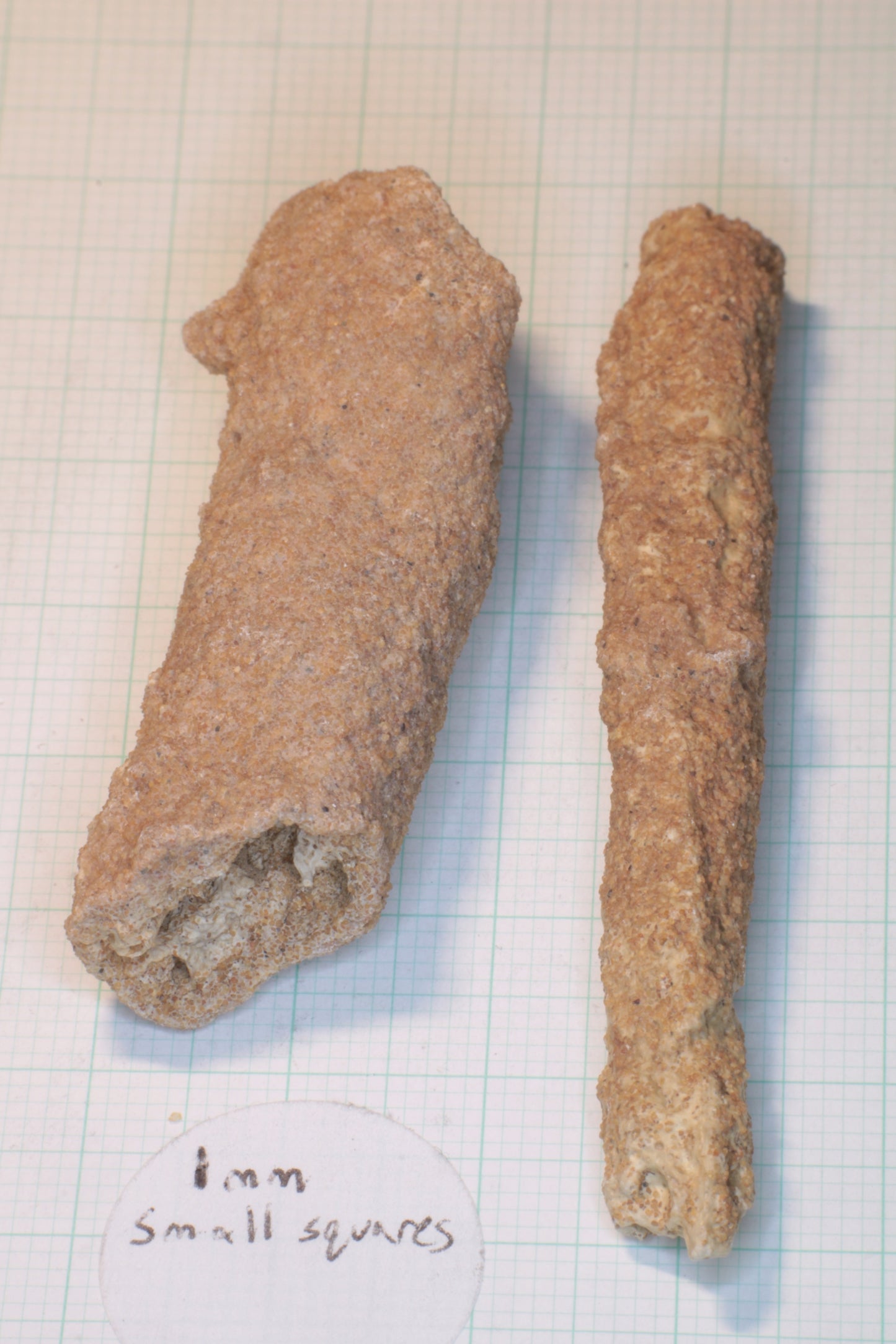Fulgurite Specimens, Fossil Lightning Glass