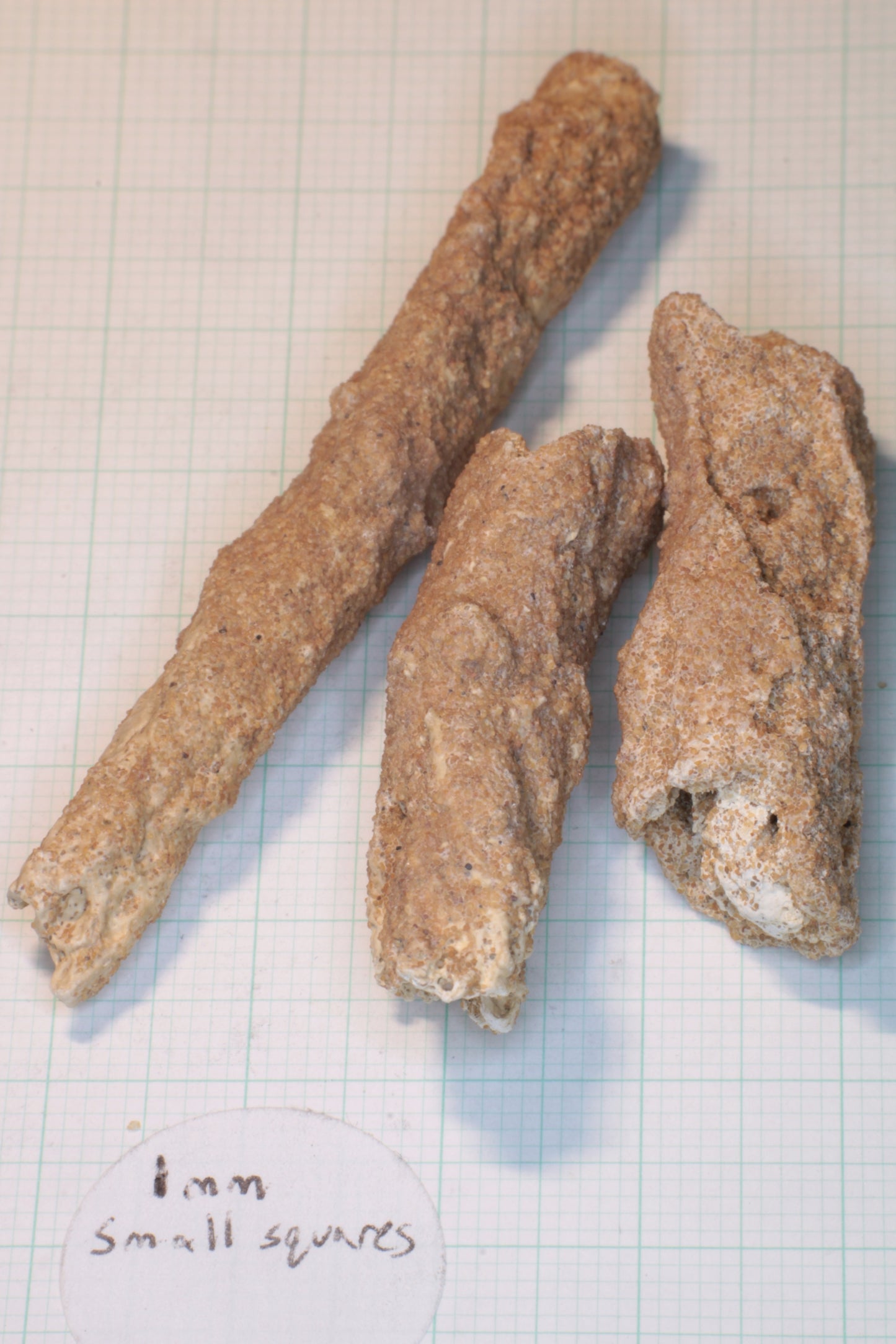 Fulgurite Specimens, Fossil Lightning Glass