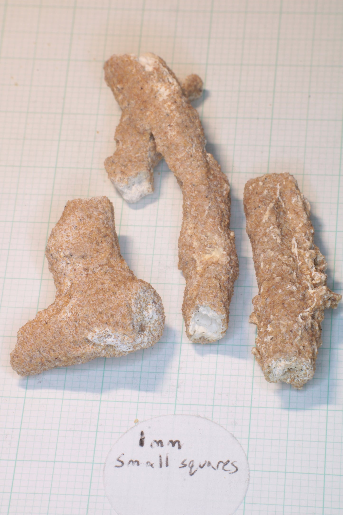 Fulgurite Specimens, Fossil Lightning Glass