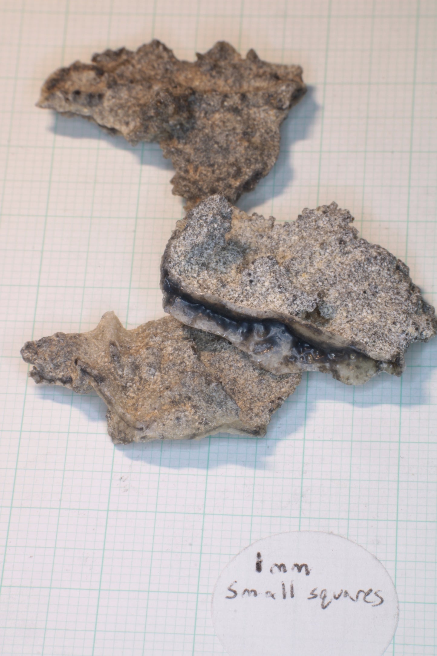 Fulgurite Specimens, Fossil Lightning Glass